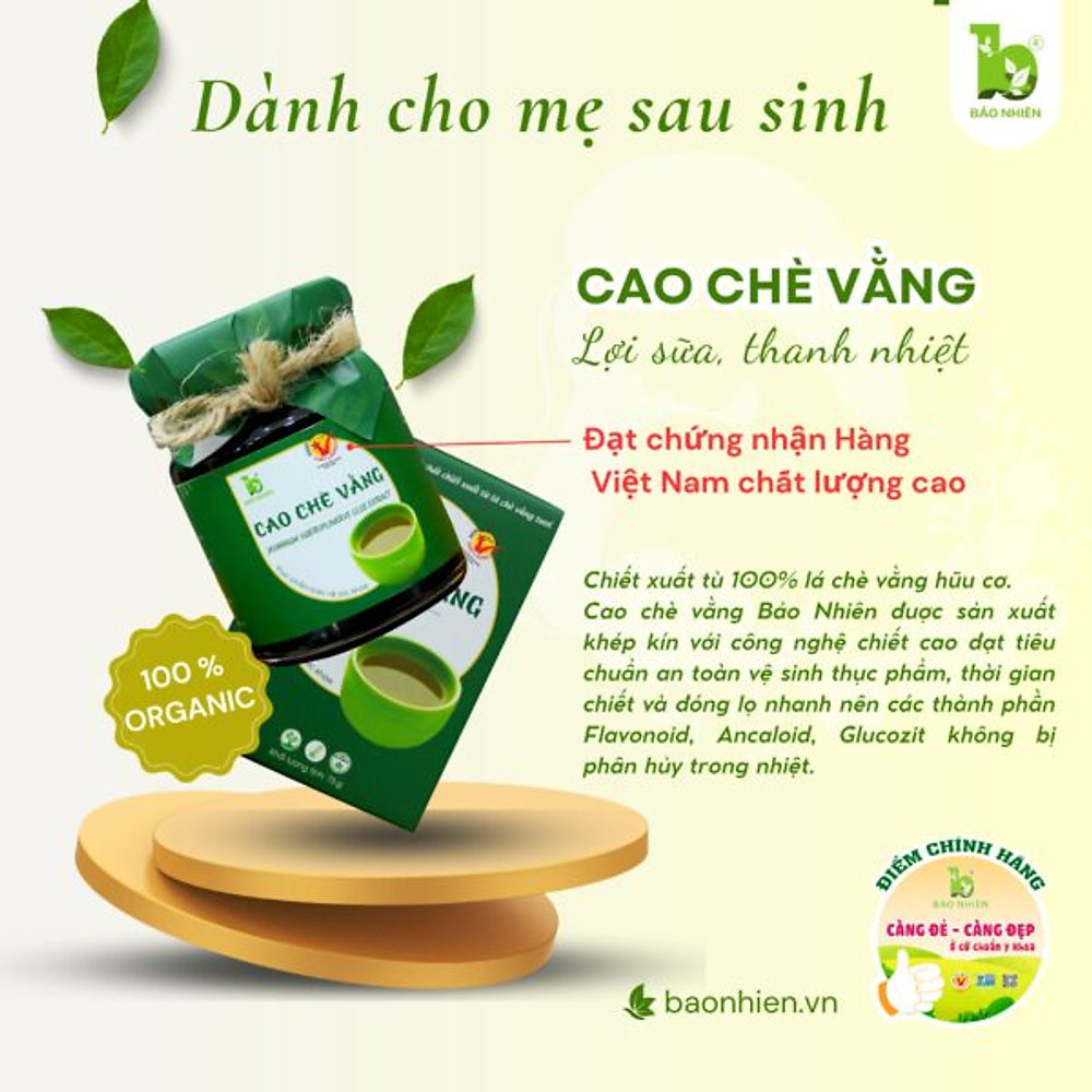 Cao chè vằng lợi sữa dành cho mẹ - Hình ảnh 3